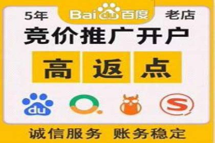 百度SEO推广公司案例解读：实战优化策略大揭秘